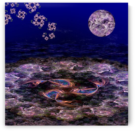 Under a Fractal Moon  by Jodi DiLiberto 