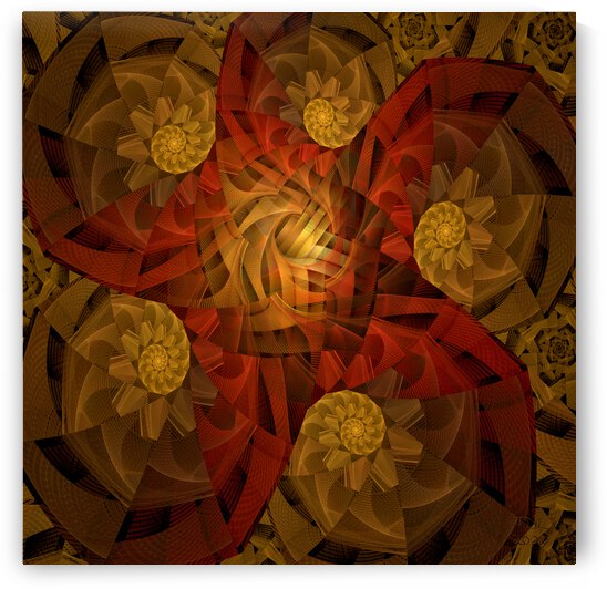 Logarithmic Spirals and a Sea Star  by Jodi DiLiberto 