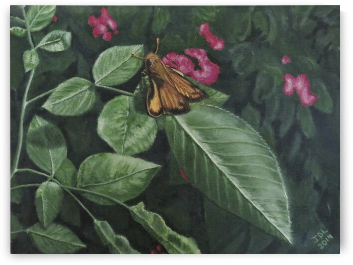 zabulon skipper by Jodi DiLiberto 