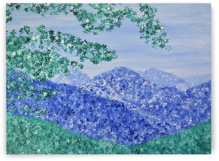 Skyline Drive by Jodi DiLiberto 