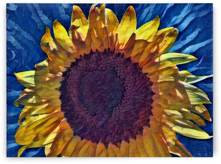 Sunflower for the Children of Ukraine by Jodi DiLiberto 