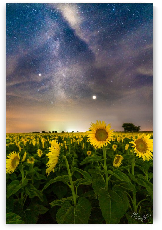 Sunflower Milky Way Stars by Joe Montiel