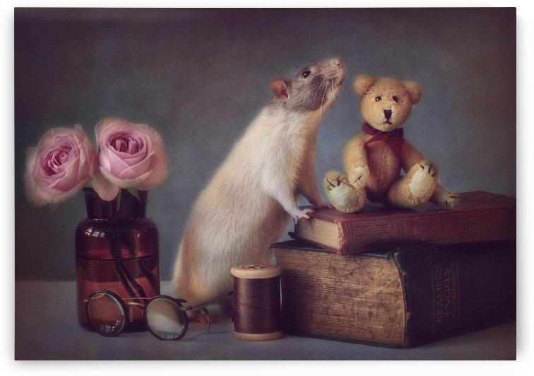 Snoozy and friend by 1x