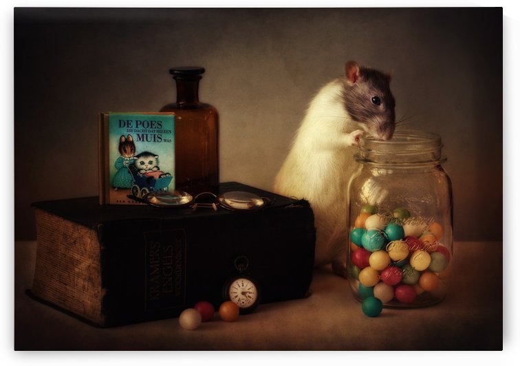 Gumballs (Published in the new 1X Book 