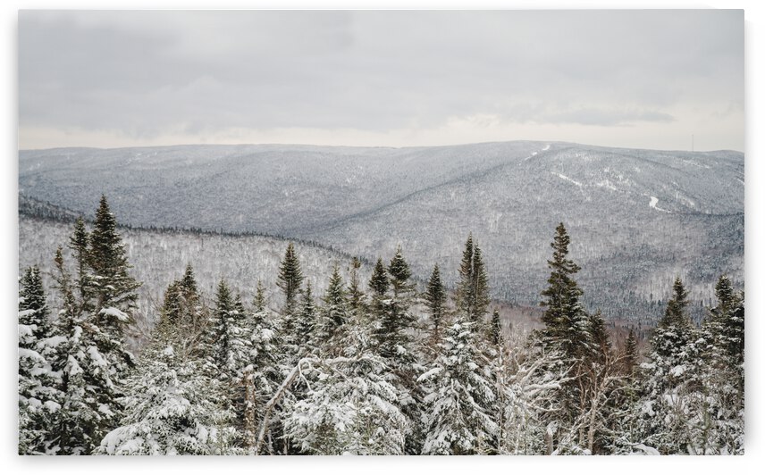 Massif du Sud by StephanieAllard