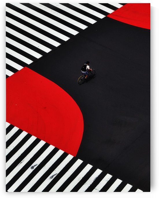 Along a road by 1x