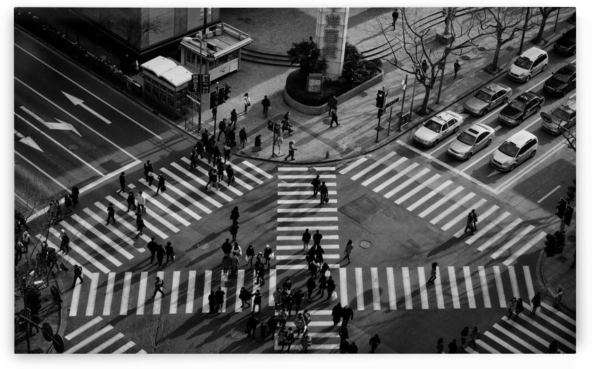 Intersection ( Crossing Alternatives ) by 1x