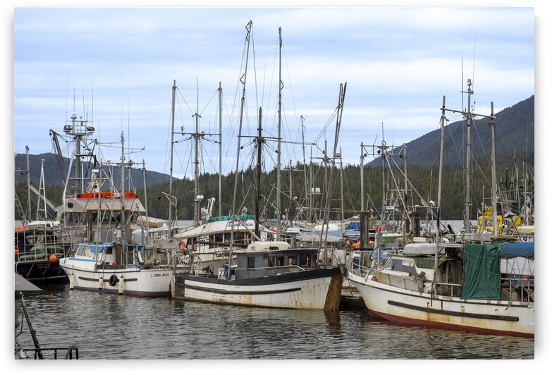 DMP   Prince Rupert BC Fishers 2 by Doug McLarty Photography