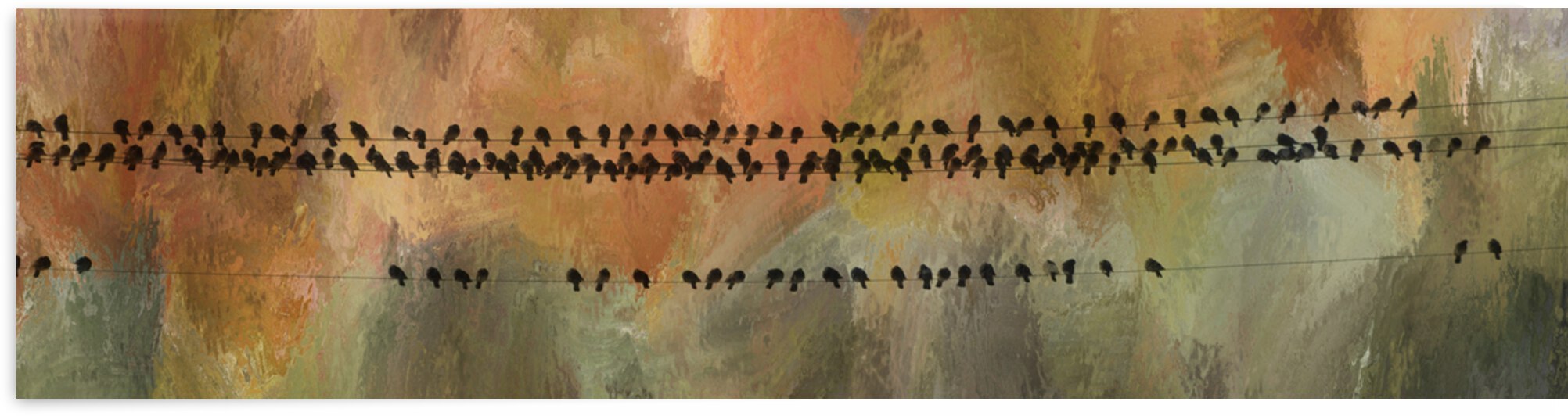 Birds On The Lines by Bo Insogna