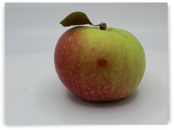 The Carolina Apple by The NC Geek