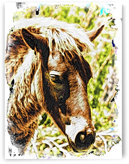 Assateague Pony Wyld Wynds Colt Watercolor by Bill Swartwout Photography