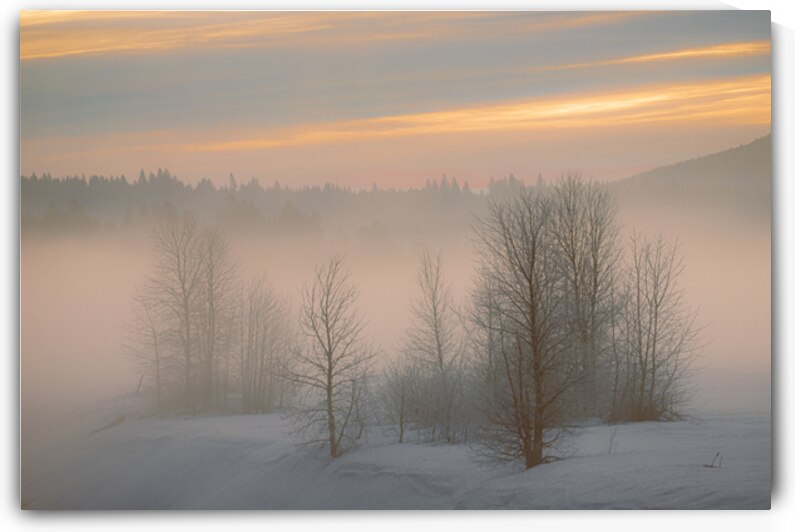 Frosty Dawn - Plumas County California by Mike Lee