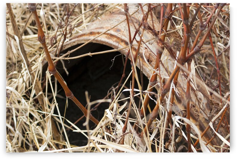 000007 by Grayton Media