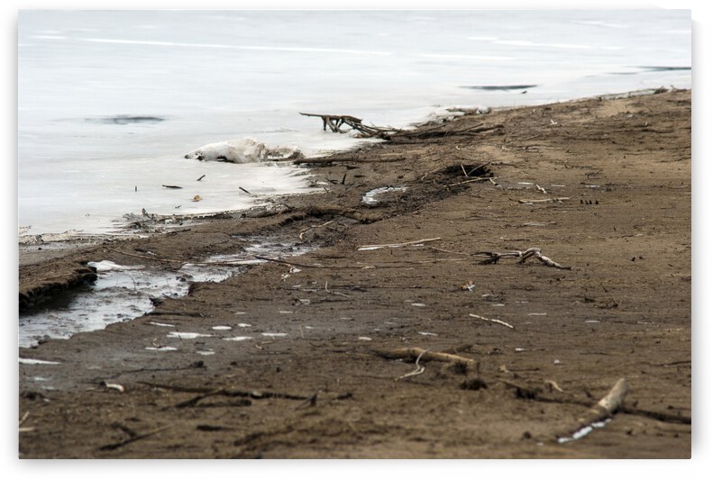 000005 by Grayton Media