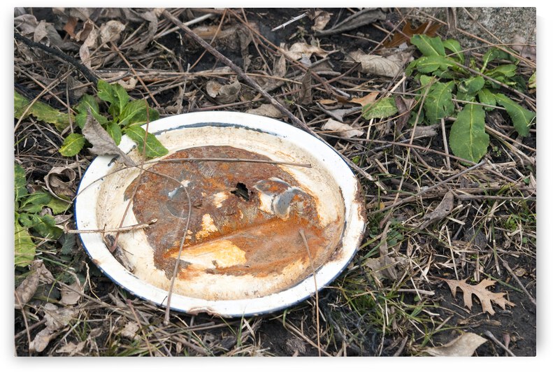 000011 by Grayton Media