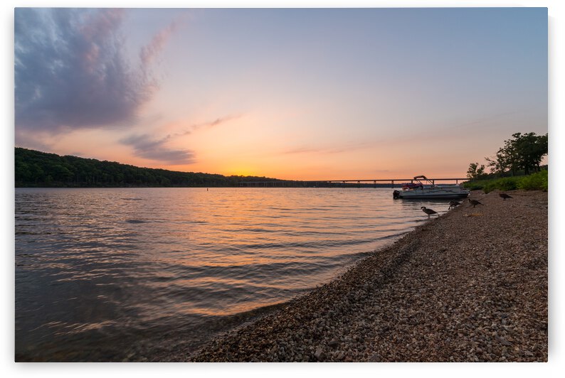 Pomme de Terre Pontoon Geese Sunset by Jennifer White
