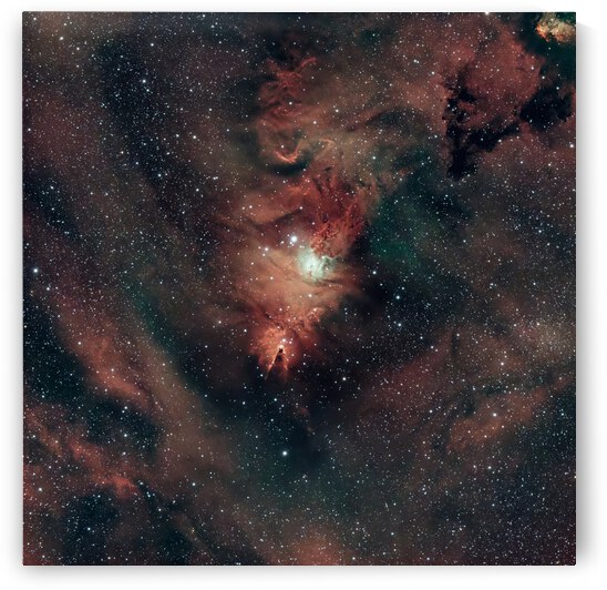 Cone Nebula by Dark Matter Astro