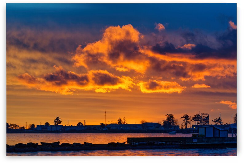 Sunrise At Comox Marina 7 by CRB Images Photography