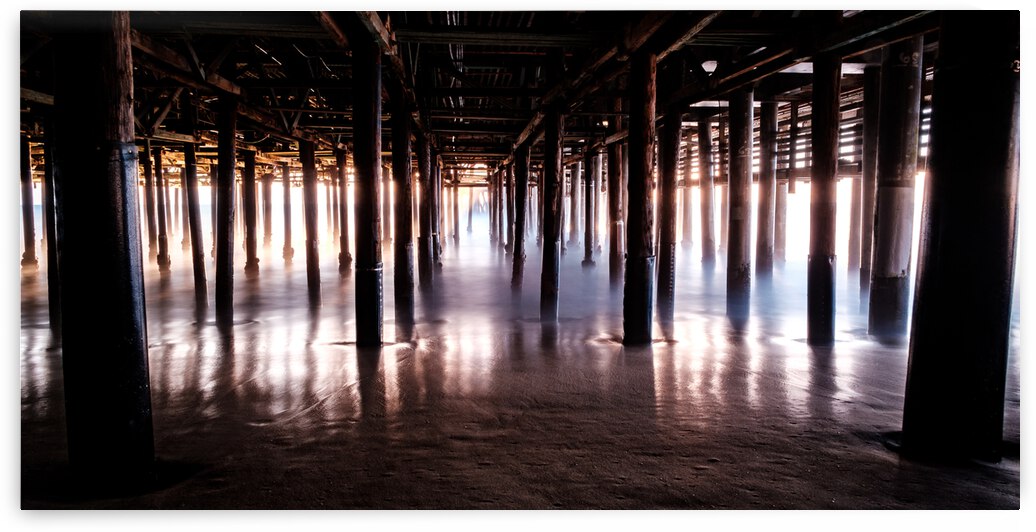 Forrest of The Sea by Sidney Tran