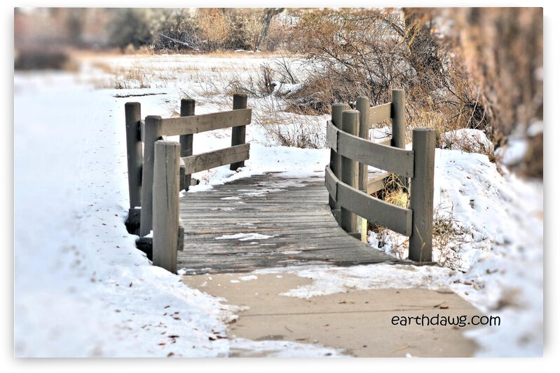 Lake Bridge by earthdawg