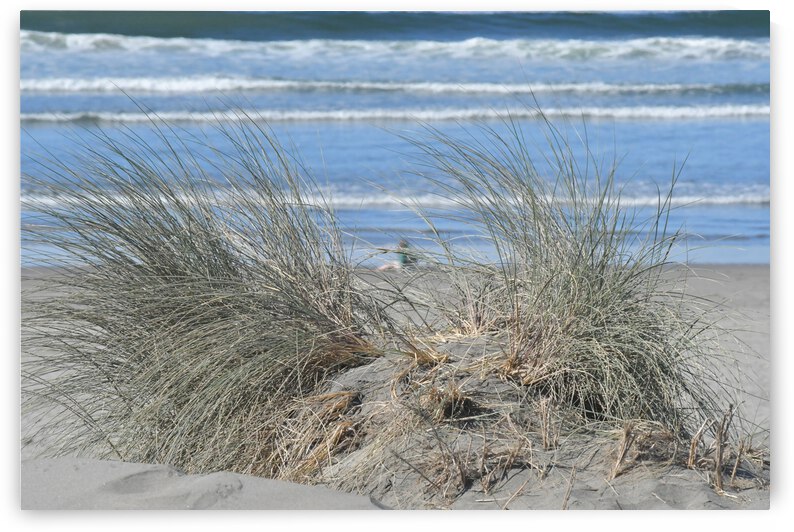 Ocean Landscape by earthdawg