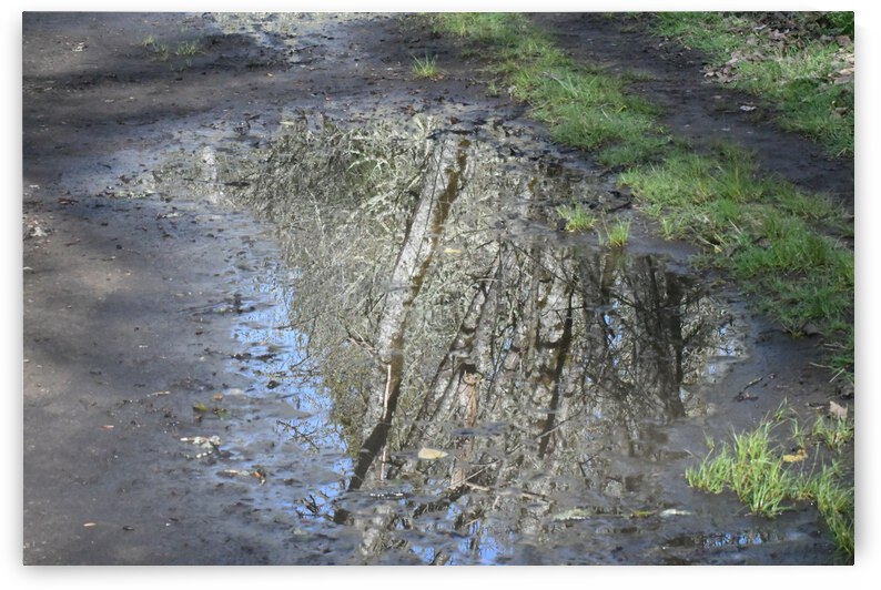 Path Reflection by earthdawg