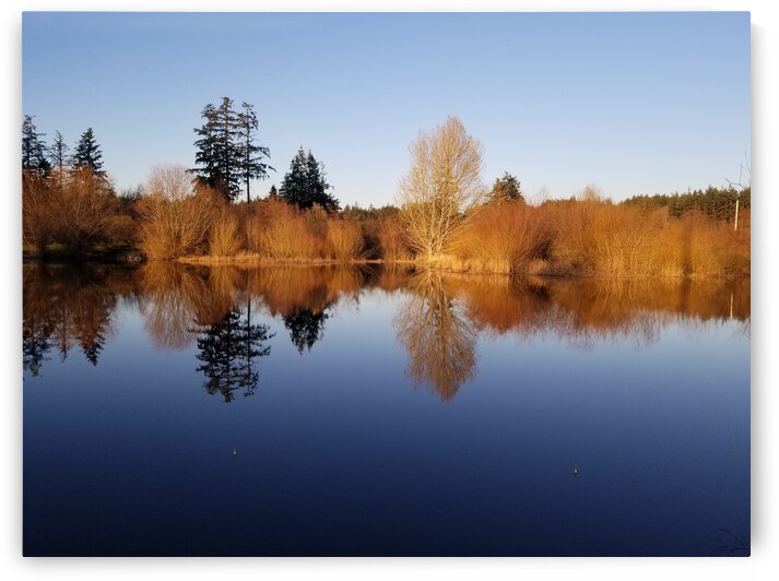 Second Chances by earthdawg