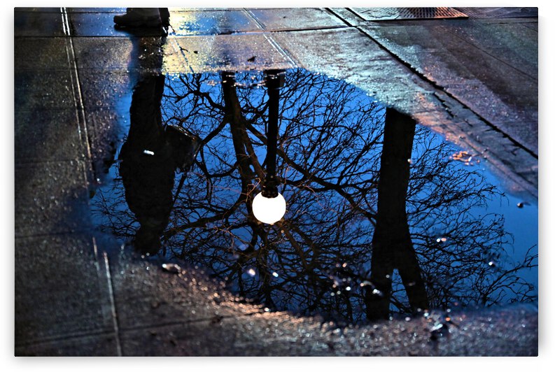 Night Reflection by earthdawg