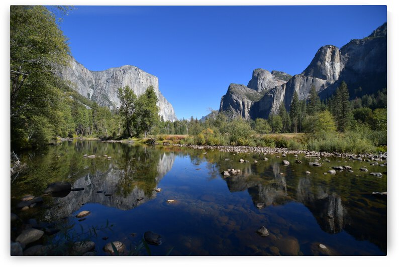 0EE625D0 91B7 4FEA 81A6 B5C2A7A695CB by JODA Photography