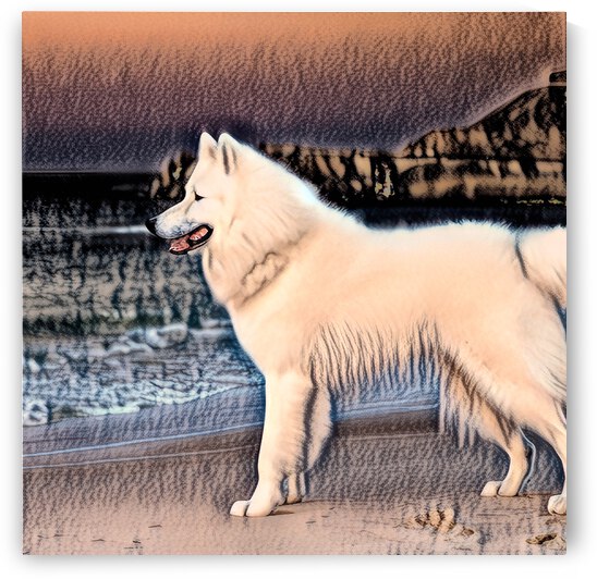 Whiate Samoyed on the Beach in Charcoal by Bill Swartwout Photography