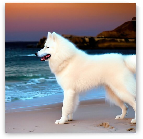 White Samoyed on the Beach by Bill Swartwout Photography