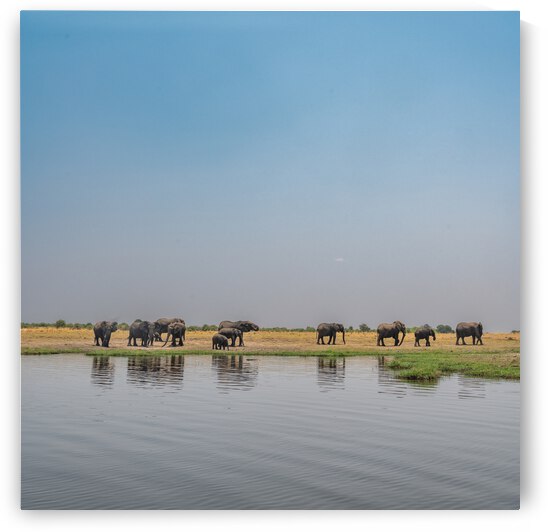 Elephant Reflections - Chobe National Park Botswana by Two Dusty Travelers