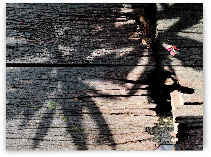 Old Wood and Shadow by Saowalux Poshyanandana