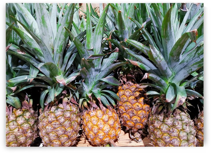 Pineapples by Saowalux Poshyanandana