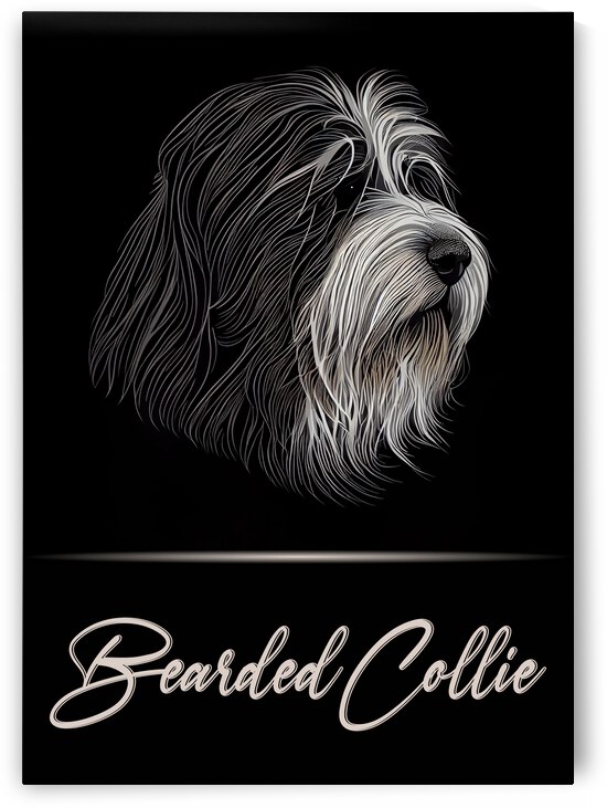 Bearded Collie by Best Breeds