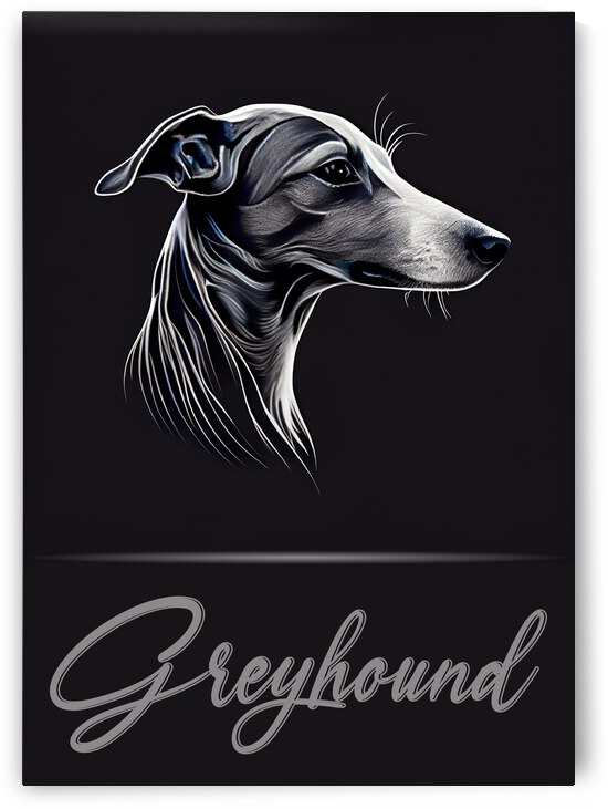 Greyhound Portrait by Best Breeds