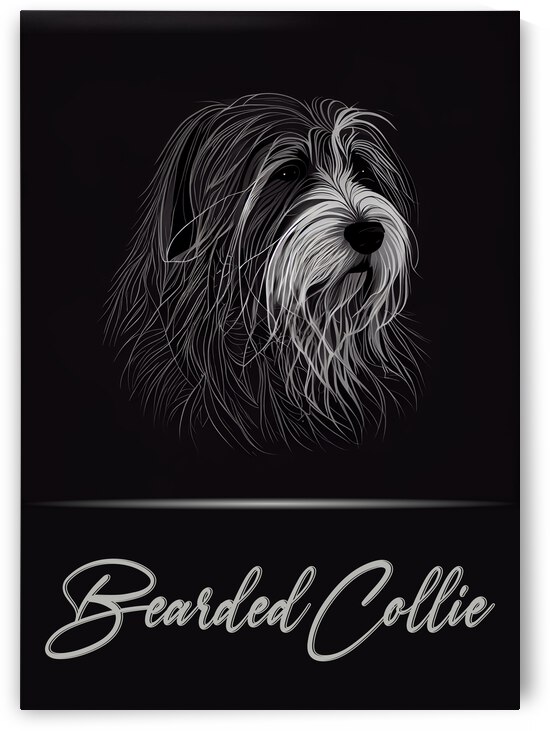 Elegant Bearded Collie by Best Breeds