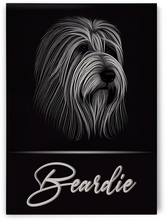 Beardie by Best Breeds