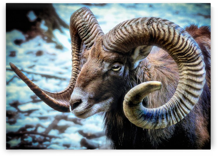 3587 by mohamed elabari