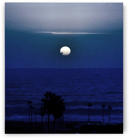 Bluenight by Barbara Linkevitch