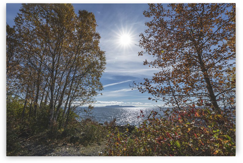 Autum by Blair Wright