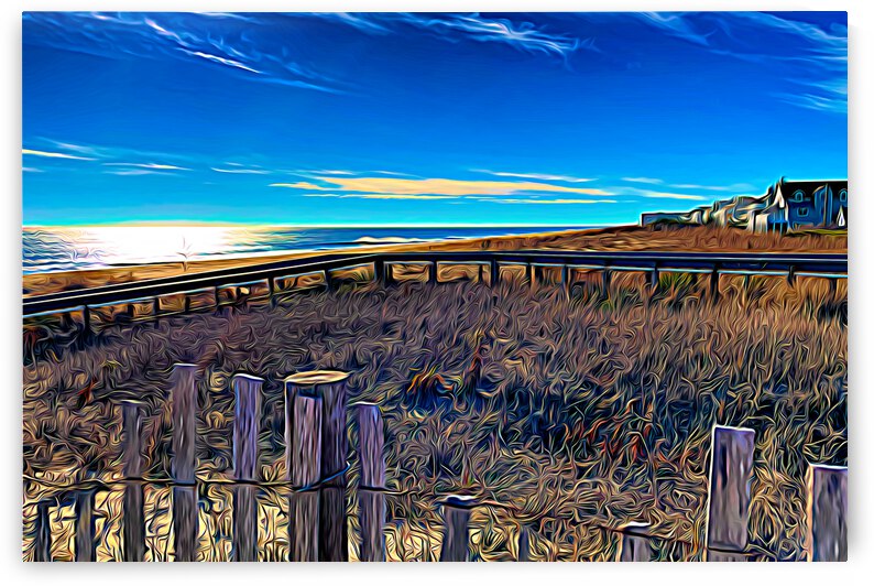 Fenwick Island Beach and Dune Crossing Expressionism by Bill Swartwout Photography