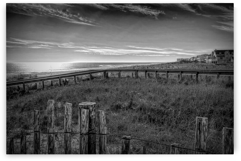 Fenwick Island Beach and Dune Crossing B&W by Bill Swartwout Photography