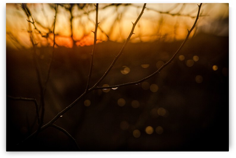 cavecreeksunset 21 by Nick LaRovere