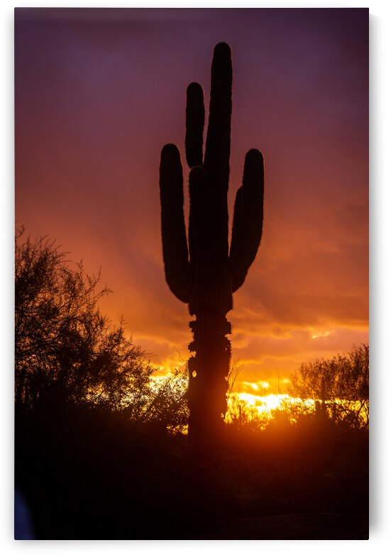 cavecreeksunset 02 by Nick LaRovere