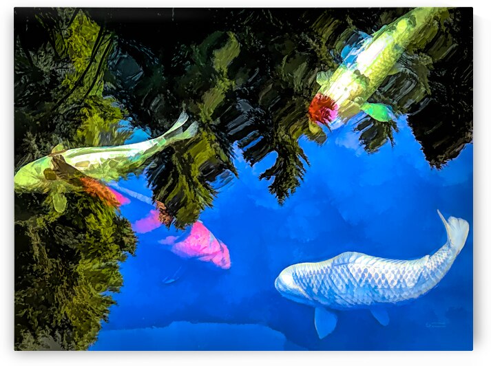 Floating Koi by ArcheanArt