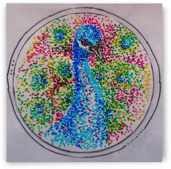 Peacock by Ashu Chandra