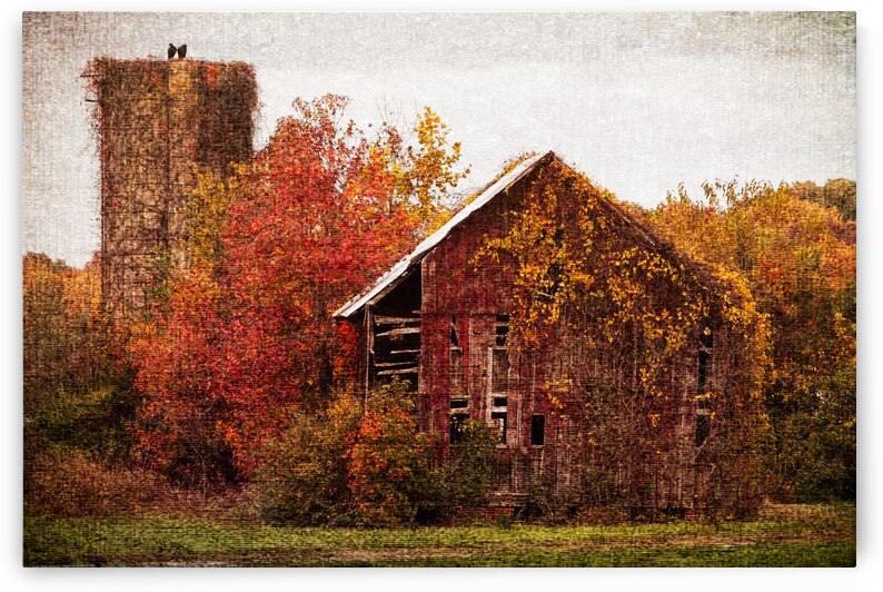 Decaying Red Barn on Canvas by Bill Swartwout Photography