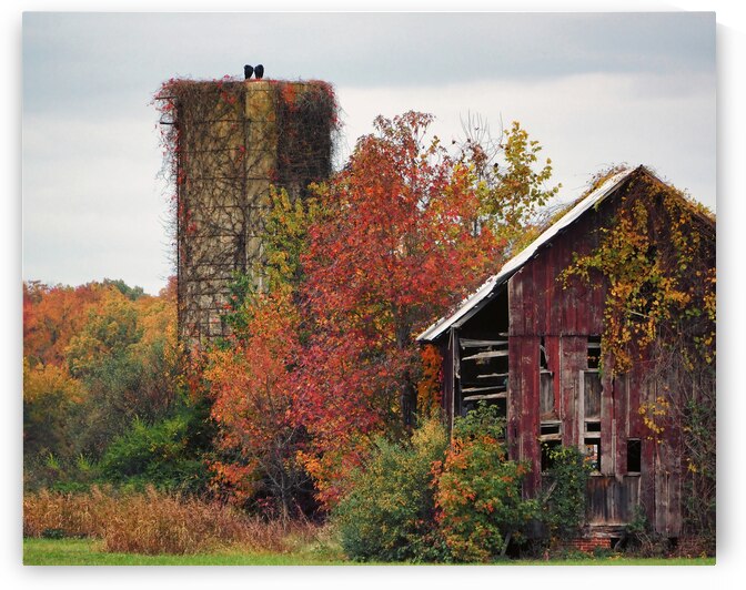 Red Barn Relic Close-up at Queenstown by Bill Swartwout Photography