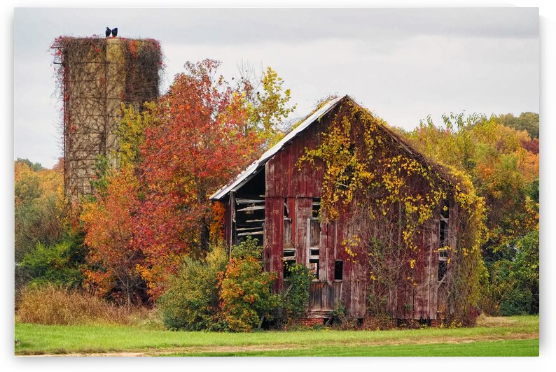 Decaying Red Barn by Bill Swartwout Photography